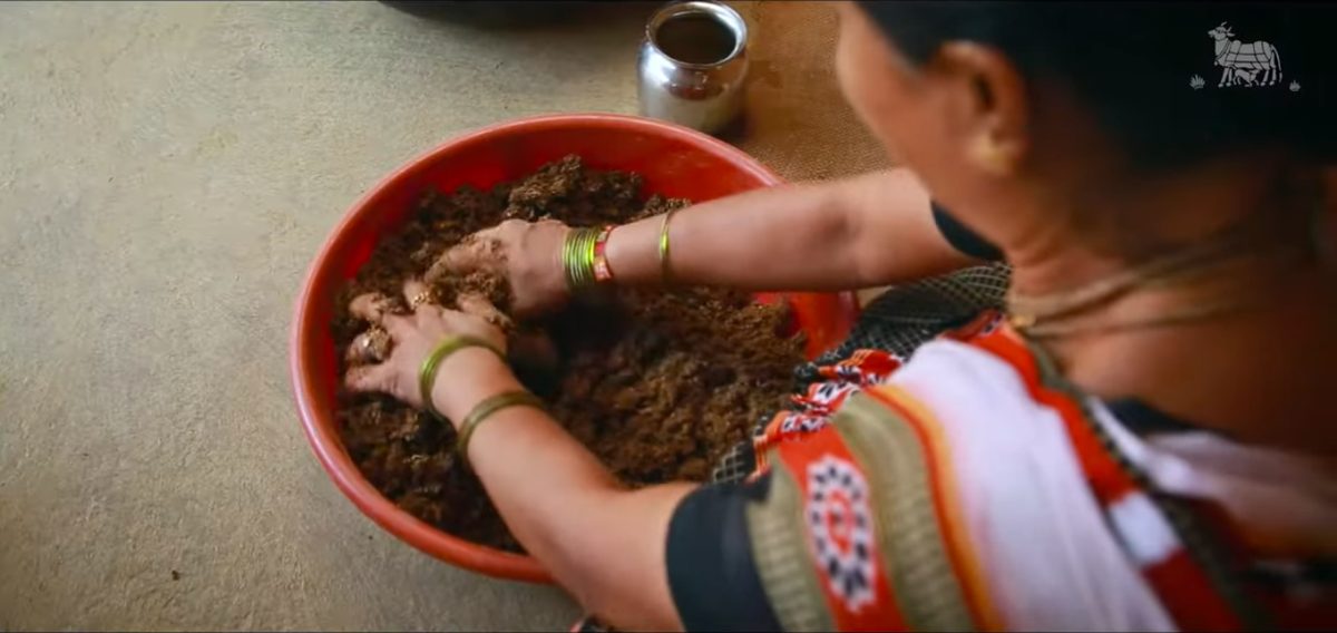 Hands kneading desi cow dung with ghee and herbs in a bowl